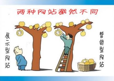网站优化公司